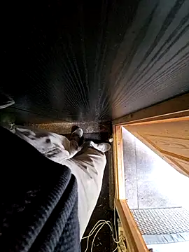 Snapshot of Lorent6969 chatting on 10/08/25, 03:57 Lorent6969 online show from 10/08/25, 03:57