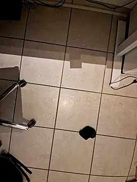 Snapshot of Lorent6969 chatting on 11/22/25, 04:33 Lorent6969 online show from 11/22/25, 04:33