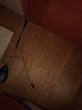 SexToyOnely online show from 05/29/26, 03:01