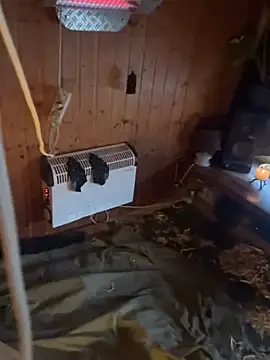 SexToyOnely online show from 02/06/26, 07:37