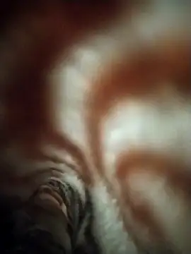 FantasticWonders9 online show from 04/12/26, 10:24