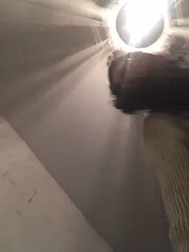 ChantalXOrchid online show from 12/21/25, 05:58