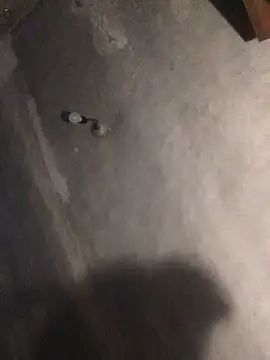 ChantalXOrchid online show from 04/17/26, 08:22