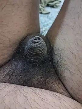 dirtybearr online show from 02/05/26, 05:42