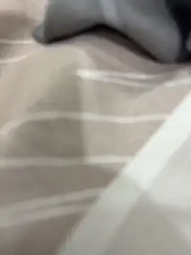 rajapo 1 online show from 11/05/25, 03:09