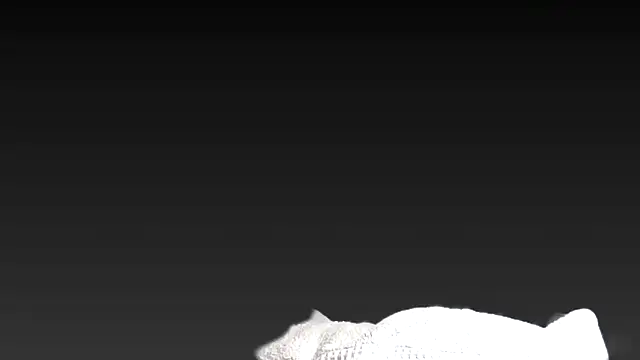 Snapshot of juanpalmox chatting on 11/25/25, 08:31 juanpalmox online show from 11/25/25, 08:31