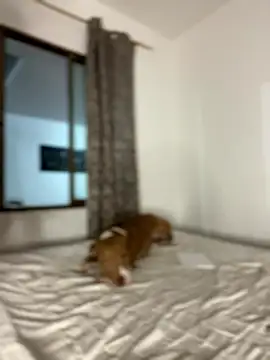 CurlyGirl 1 online show from 01/18/26, 11:19