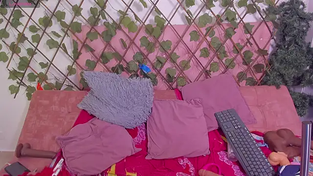 kimmysantoo online show from 03/01/26, 09:48