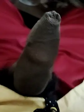 Ashish02345 online show from 12/06/24, 06:44