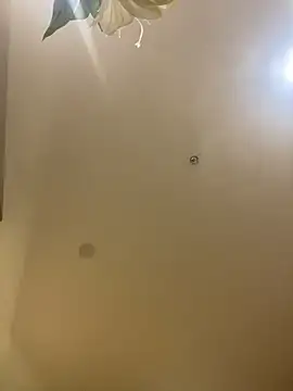 MEOW MEO online show from 12/20/25, 04:10