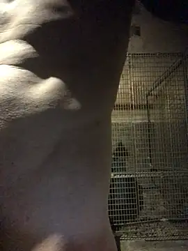 Josele1981 online show from 05/01/26, 08:47