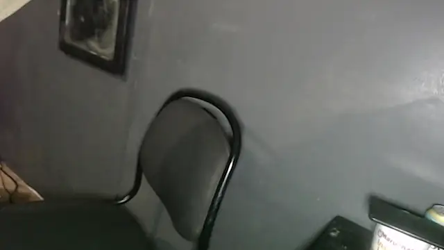 Dogz n daugthers online show from 02/02/25, 12:19