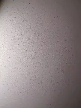 Dogz n daugthers online show from 12/17/24, 07:48