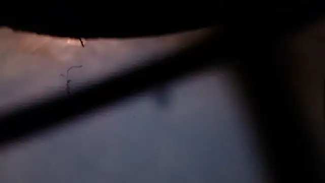 Snapshot of Cordt30 chatting on 02/12/26, 04:40 Cordt30 online show from 02/12/26, 04:40
