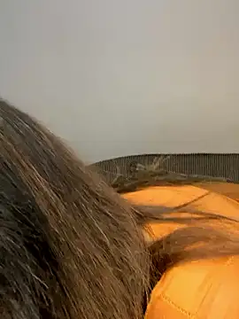 Amandious online show from 04/16/26, 04:13