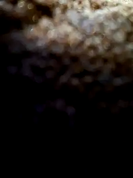 Snapshot of Exhibitionist1508 chatting on 09/09/25, 03:38 Exhibitionist1508 online show from 09/09/25, 03:38