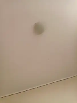 zafka 9 online show from 04/17/26, 08:11