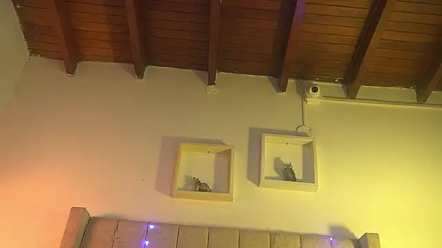 patty m online show from 12/15/25, 12:00