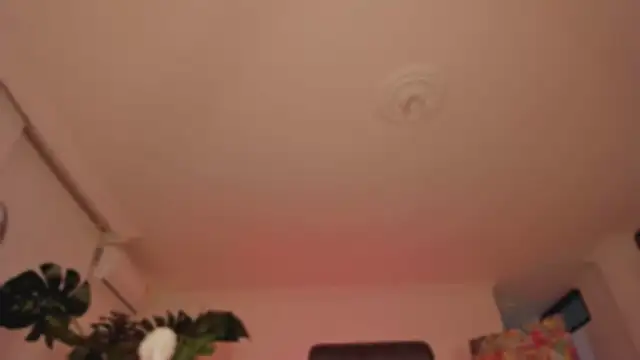 Snapshot of Taylor__foxxx chatting on 02/11/25, 04:11 Taylor foxxx online show from 02/11/25, 04:11