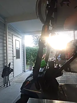 Dixiefaye Pika online show from 01/06/26, 10:03