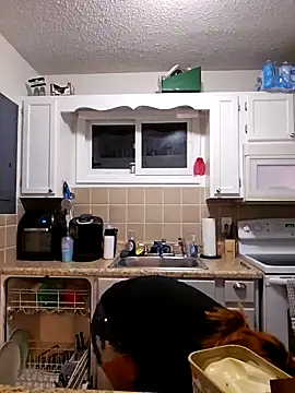 Snapshot of Dixiefaye_Pika chatting on 02/27/25, 04:02 Dixiefaye Pika online show from 02/27/25, 04:02