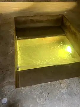  Miguel100 online show from 11/09/25, 07:40