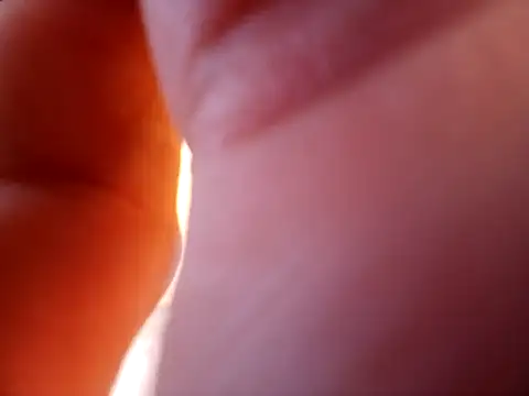 braza66 online show from 04/04/26, 03:29