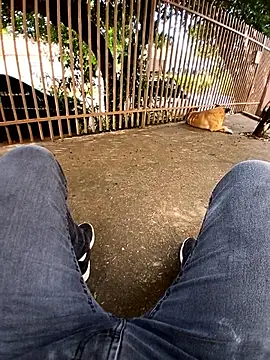 braza66 online show from 04/12/26, 05:05