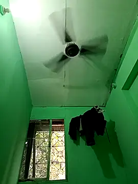 rockymumbai online show from 03/11/26, 11:04