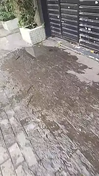 UncutToyBoy23cm online show from 03/13/25, 02:01