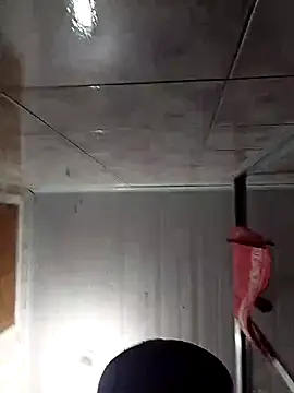 Adee21e online show from 11/17/25, 08:46