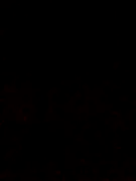 Snapshot of Adee21e chatting on 10/12/25, 06:53 Adee21e online show from 10/12/25, 06:53