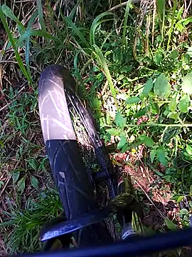 Adee21e online show from 11/21/25, 04:39