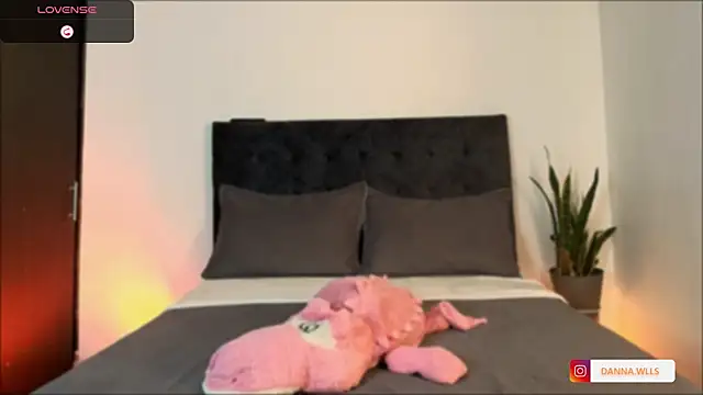 Dannawells online show from 11/18/25, 07:17