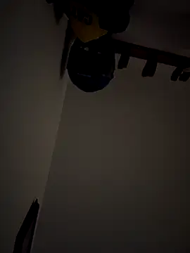 Kylie2211 online show from 12/15/25, 11:49