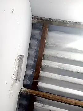 mr slim body online show from 01/13/26, 02:26