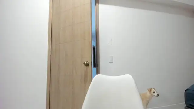 Vera Fernandez online show from 04/10/26, 11:34