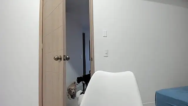 Vera Fernandez online show from 11/12/25, 10:46