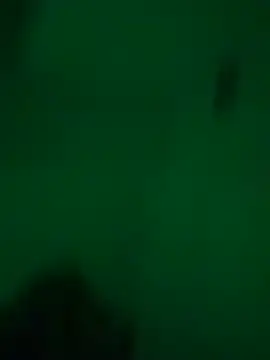 greedybratt online show from 12/23/24, 05:39