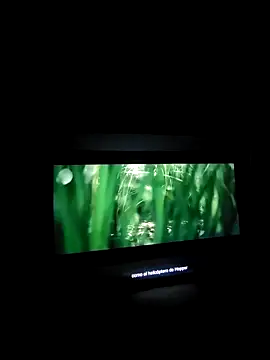 lampaz online show from 01/18/25, 09:24