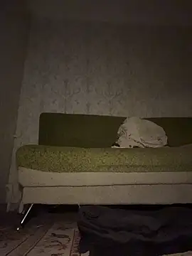 MissDasha online show from 03/07/26, 05:40