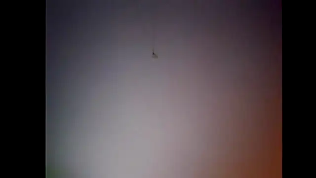 Pegg-fist-me online show from 11/28/25, 12:00