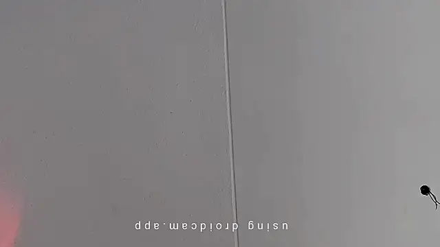 Pegg-fist-me online show from 03/10/26, 08:51