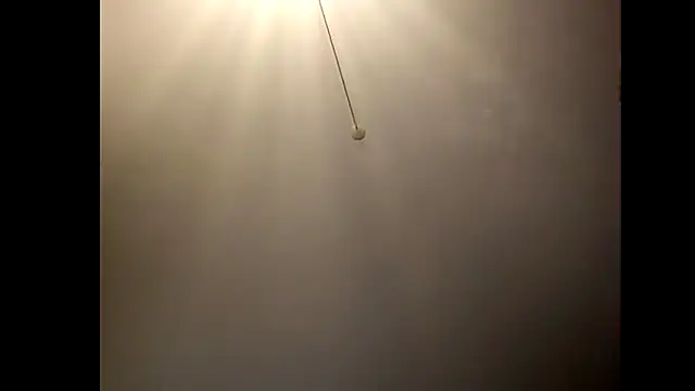 Pegg-fist-me online show from 12/01/25, 03:18