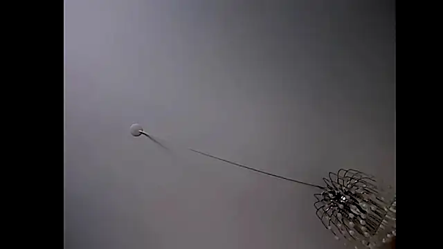 Snapshot of Pegg-fist-me chatting on 10/29/25, 01:48 Pegg-fist-me online show from 10/29/25, 01:48