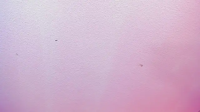 Red lady online show from 04/08/26, 04:03