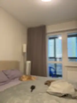 NewLale online show from 11/30/25, 02:56