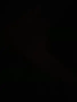 egyptman220 online show from 03/08/26, 07:55