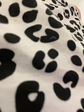 MerlinDave online show from 10/21/25, 12:54