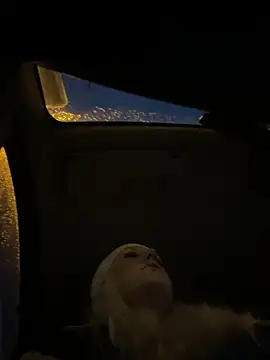 MerlinDave online show from 11/08/25, 12:58